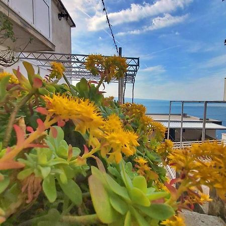 Apartment Cedo Omiš Eksteriør billede