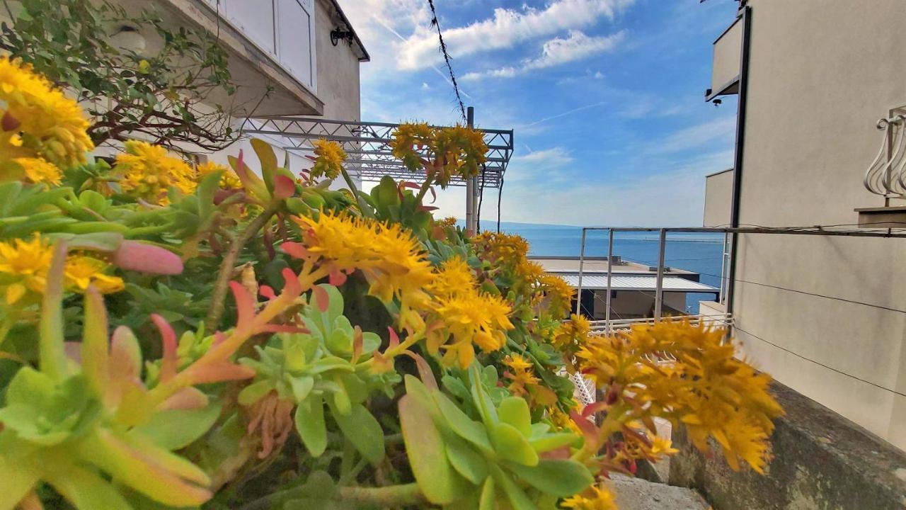 Apartment Cedo Omiš Eksteriør billede