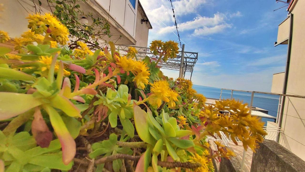 Apartment Cedo Omiš Eksteriør billede