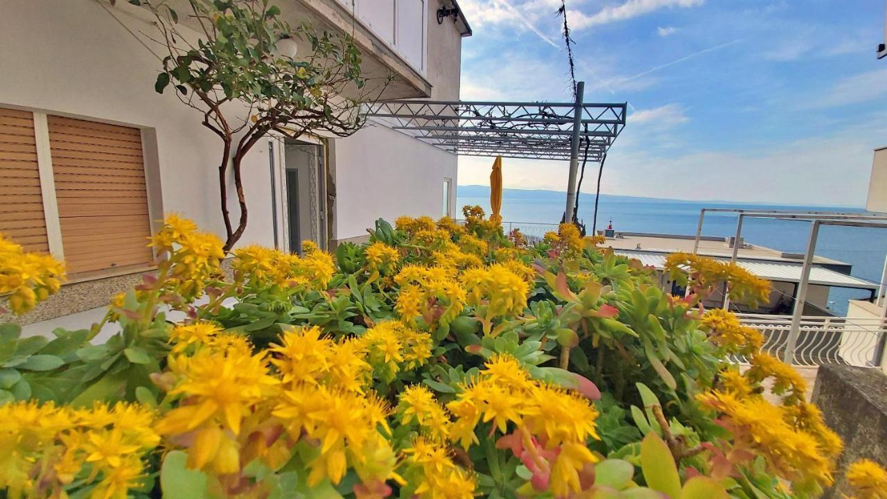 Apartment Cedo Omiš Eksteriør billede